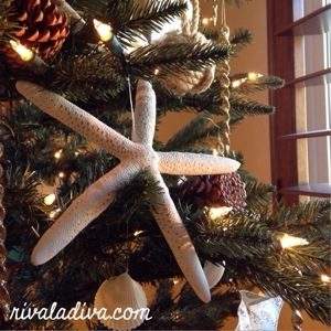 20131213-141930.jpg