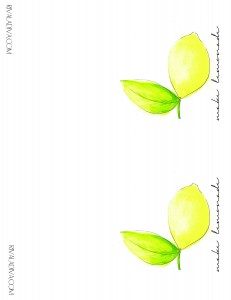 Make Lemonade Card