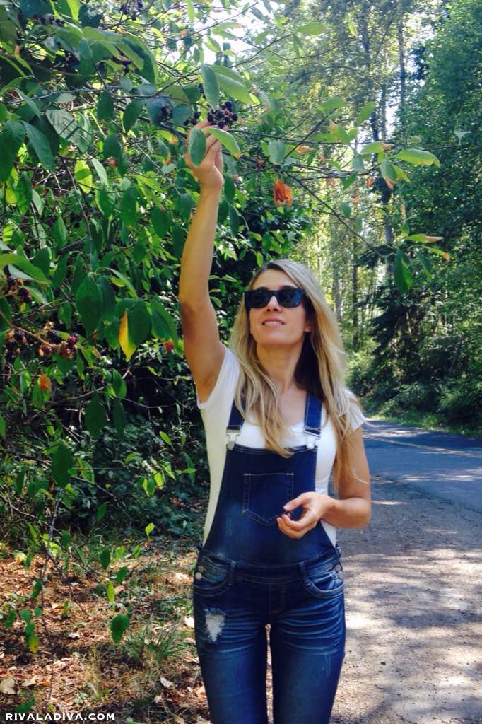 WestWood Sunglasses Contest Giveaway